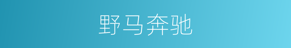 野马奔驰的同义词