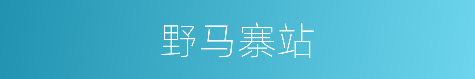 野马寨站的同义词