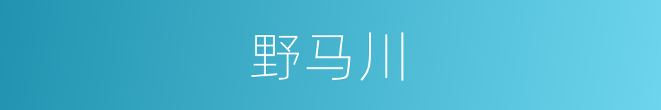 野马川的同义词