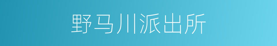 野马川派出所的同义词