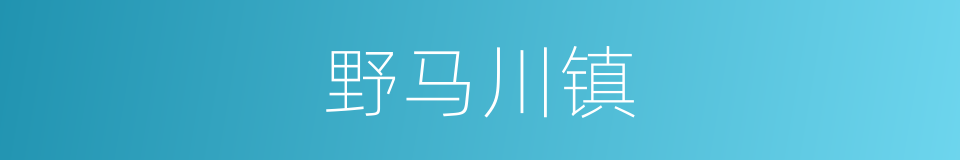 野马川镇的同义词