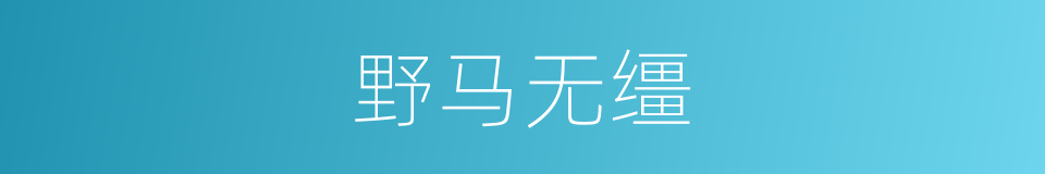 野马无缰的意思