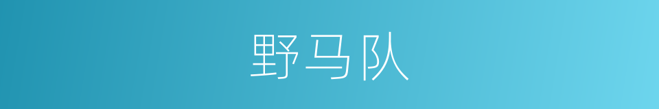 野马队的同义词
