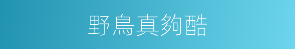 野鳥真夠酷的同義詞