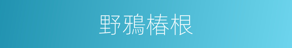 野鴉椿根的同義詞