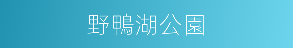 野鴨湖公園的同義詞