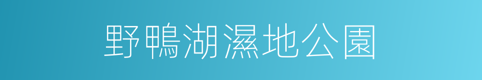 野鴨湖濕地公園的同義詞