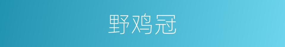 野鸡冠的同义词