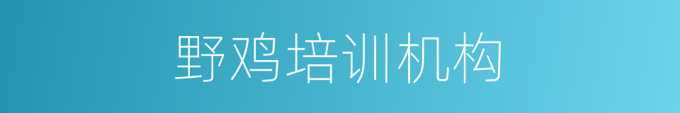 野鸡培训机构的同义词