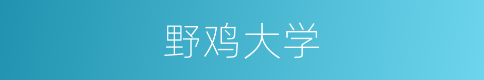 野鸡大学的意思