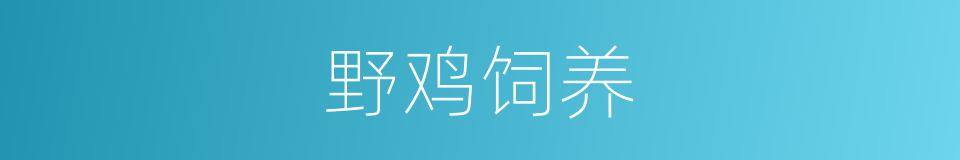 野鸡饲养的同义词