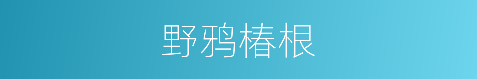 野鸦椿根的同义词