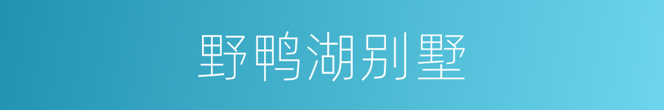 野鸭湖别墅的同义词