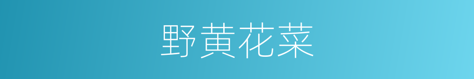 野黄花菜的同义词