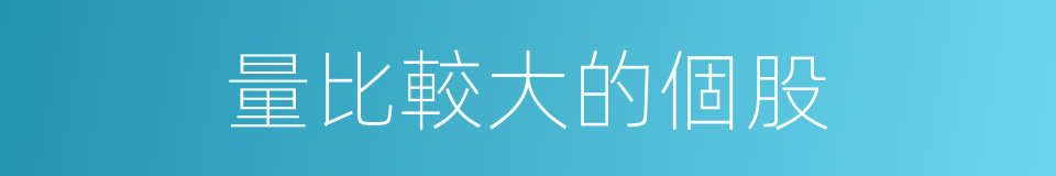 量比較大的個股的同義詞