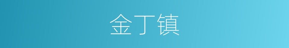 金丁镇的同义词