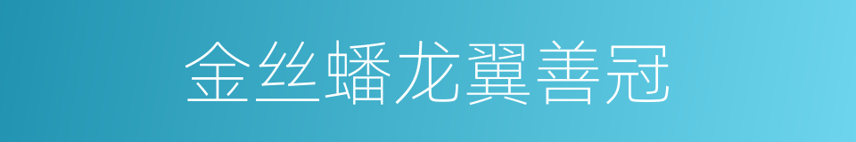 金丝蟠龙翼善冠的同义词