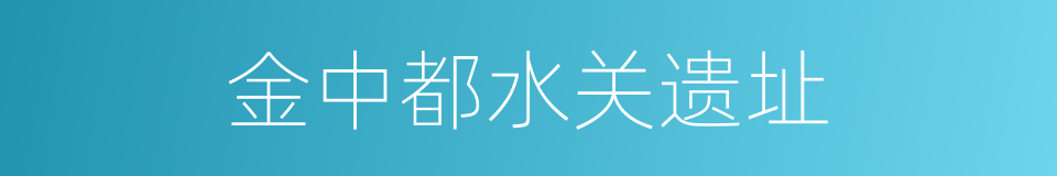 金中都水关遗址的同义词