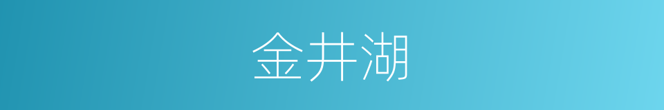 金井湖的同义词