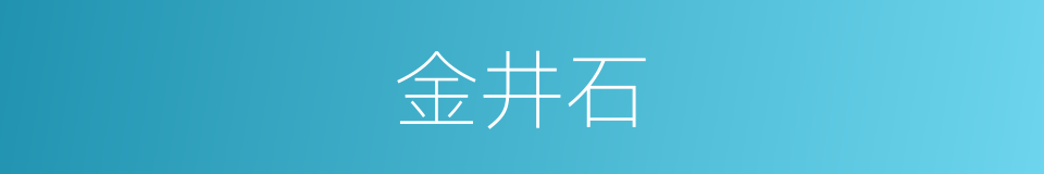 金井石的同义词