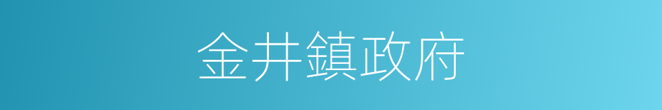 金井鎮政府的同義詞