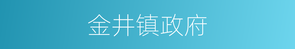 金井镇政府的同义词