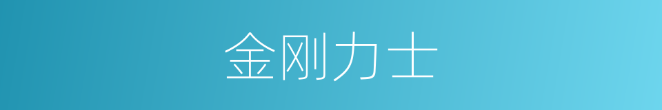金刚力士的意思