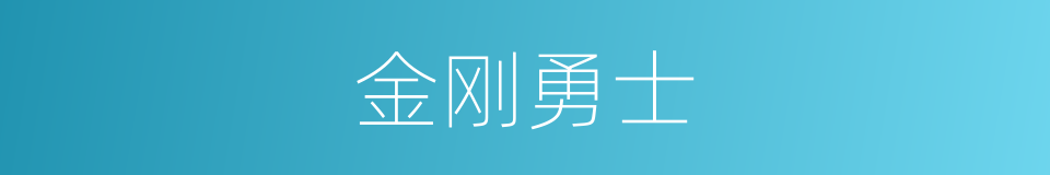 金刚勇士的同义词