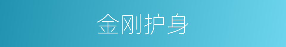 金刚护身的同义词