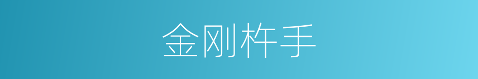 金刚杵手的同义词