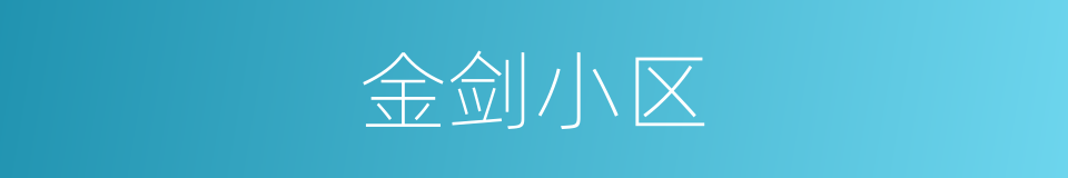 金剑小区的同义词