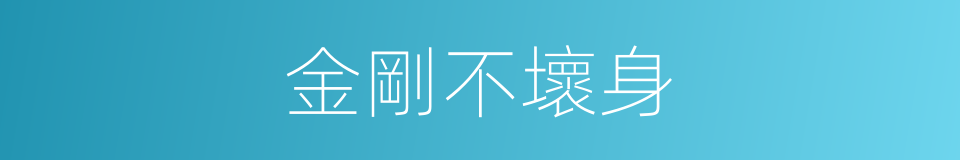 金剛不壞身的意思