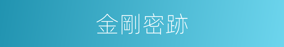 金剛密跡的意思