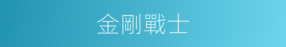 金剛戰士的同義詞