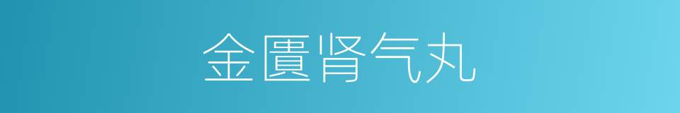金匱肾气丸的同義詞