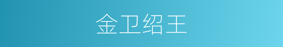 金卫绍王的同义词