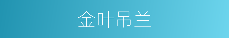 金叶吊兰的同义词