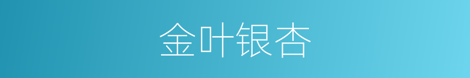 金叶银杏的同义词