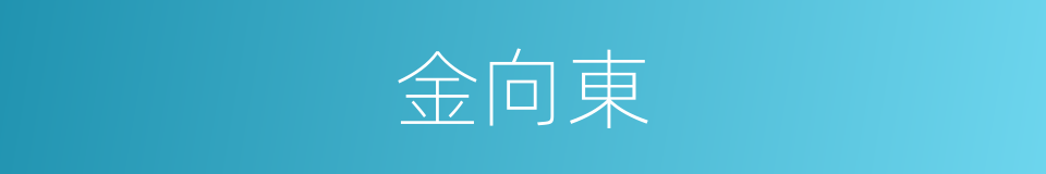 金向東的同義詞