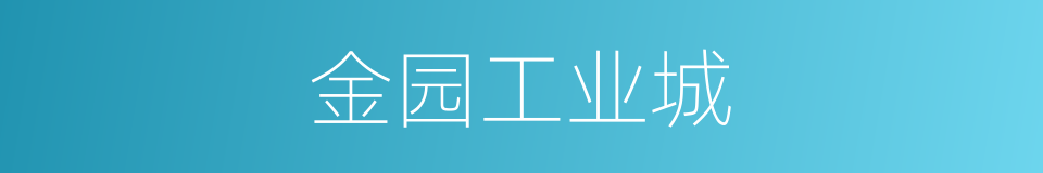 金园工业城的同义词