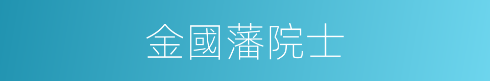 金國藩院士的同義詞