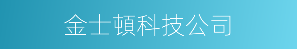 金士頓科技公司的同義詞