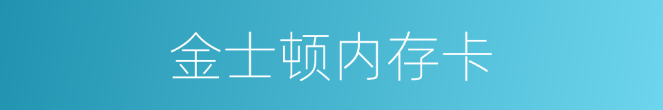 金士顿内存卡的同义词