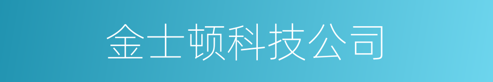 金士顿科技公司的同义词