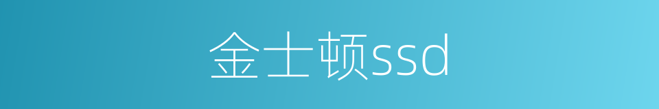 金士顿ssd的同义词