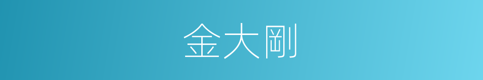 金大剛的同義詞