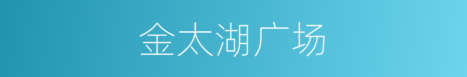 金太湖广场的同义词