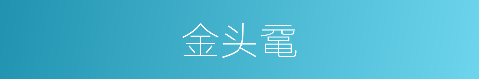 金头鼋的意思