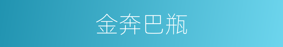 金奔巴瓶的意思