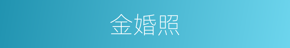 金婚照的同义词